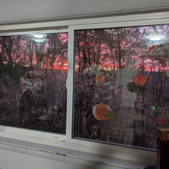 ♥️Just In♥️ - Picture 4 of 15